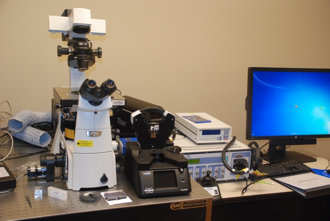 Bruker BioScope Catalyst AFM (bioAFM)