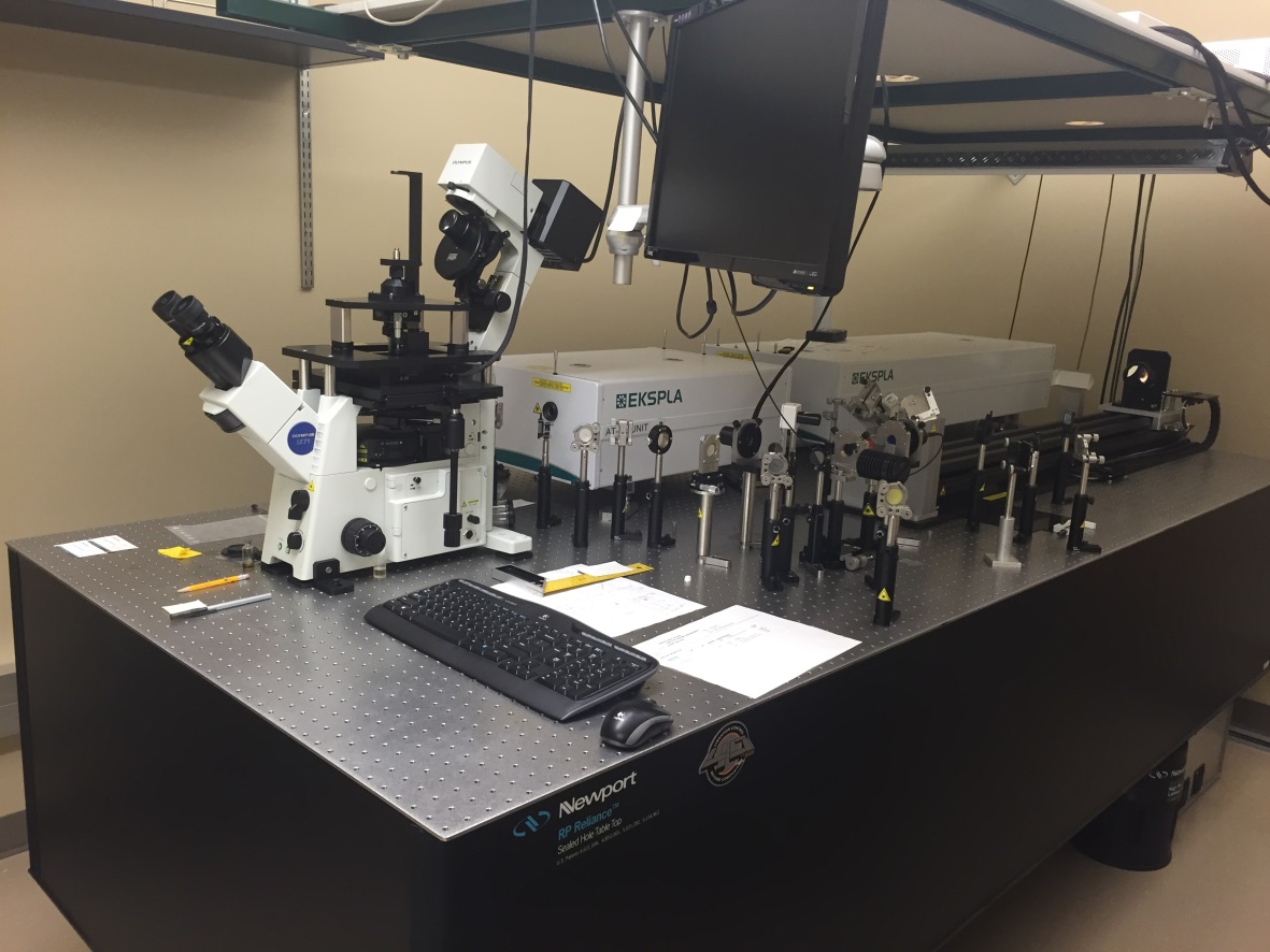 Nikon Confocal Microscope