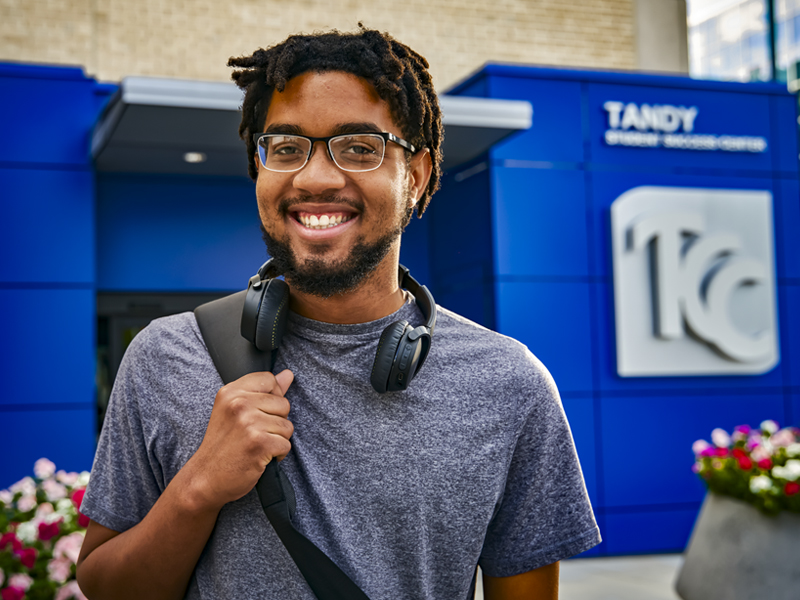 This is alt text for the image