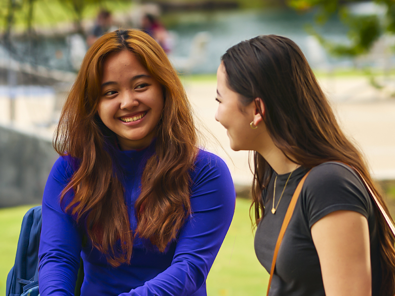 This is alt text for the image